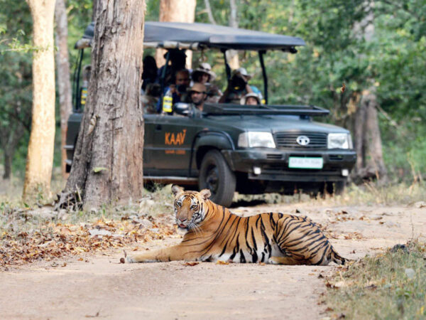 Tatkal Separate Jeep Indian