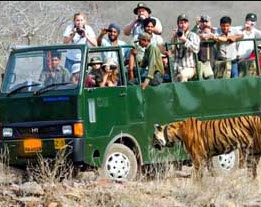 Canter Safari Foreigner (Per Person)